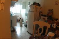 0 - cachorra Branquinha - Apartamento Max, So Caetano do Sul