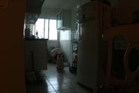 0 - cachorra Branquinha - Apartamento Max, So Caetano do Sul