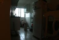 0 - cachorra Branquinha - Apartamento Max, So Caetano do Sul