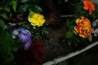 0 - flores, floreira, jardineira - Apartamento Max, São Caetano do Sul