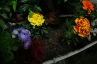 0 - flores, floreira, jardineira - Apartamento Max, So Caetano do Sul