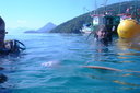 Thairine Moreno, - equip. mergulho - Ilha Grande, Angra dos Reis