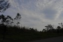  - árvores à beira da estrada - Gol Vermelho, Rodovia Ayrton Senna