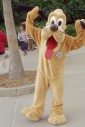  -  - Disney`s Animal Kingdom, Orlando